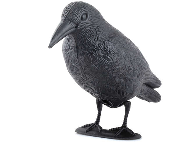 Bird repeller - raven