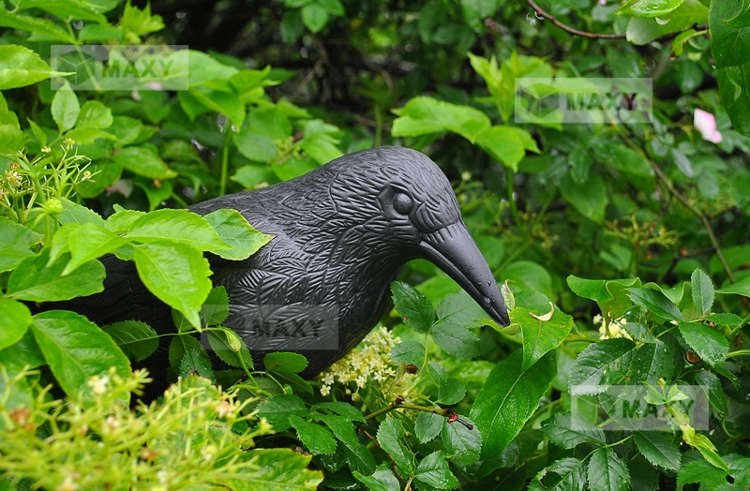 Bird repeller - raven