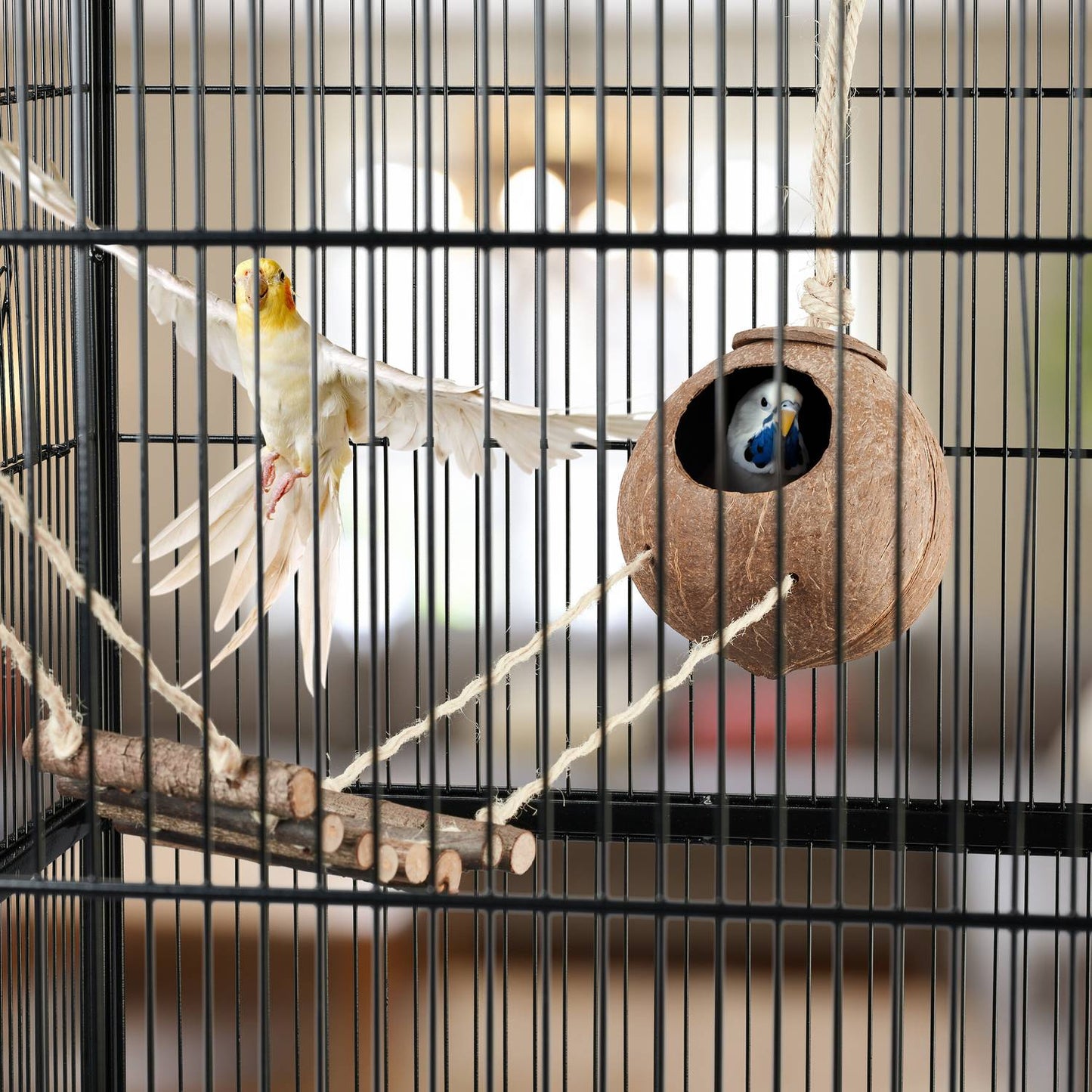Bird toy with coconut and wooden ladder