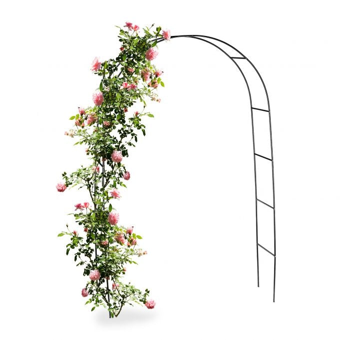 Black Rose Arch