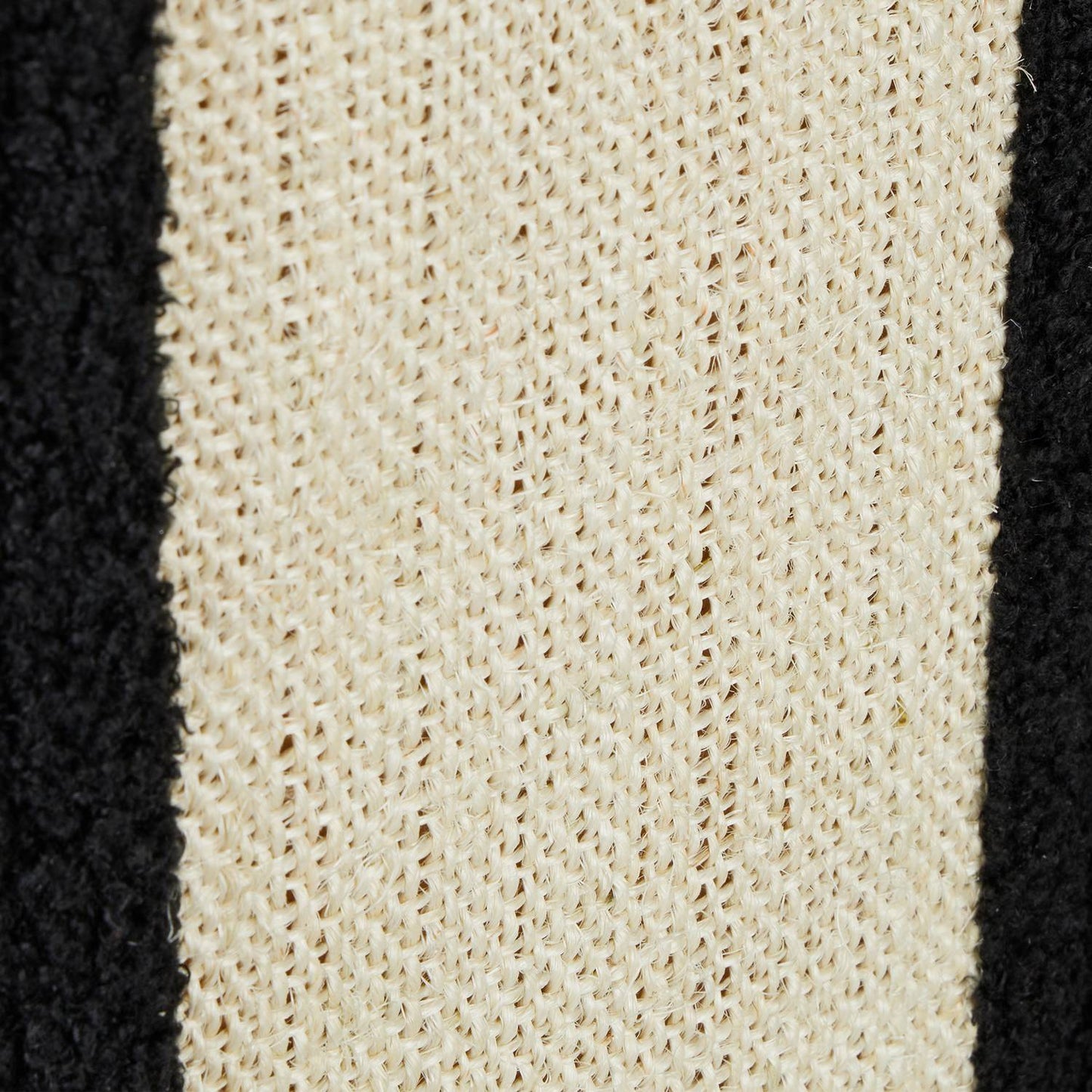 Black cat hide with scratching surface