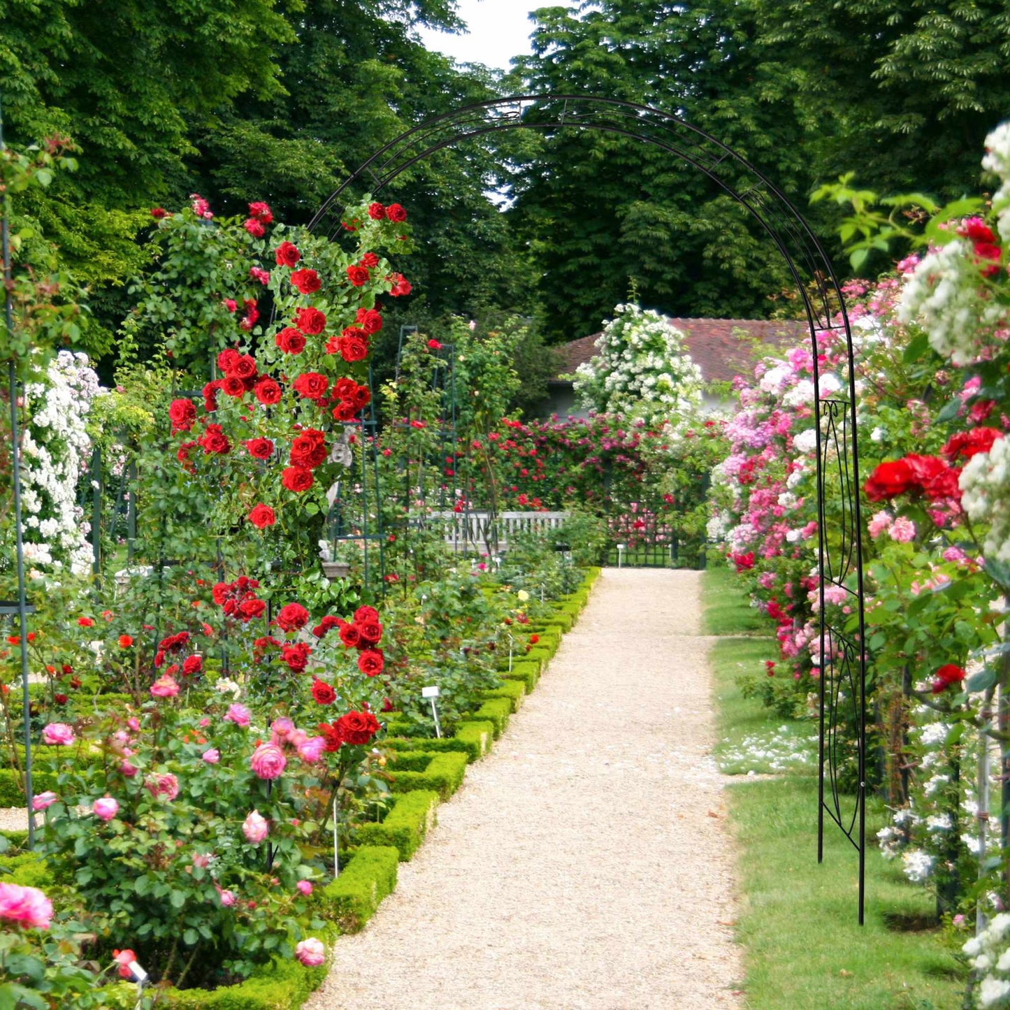 Black rose arch