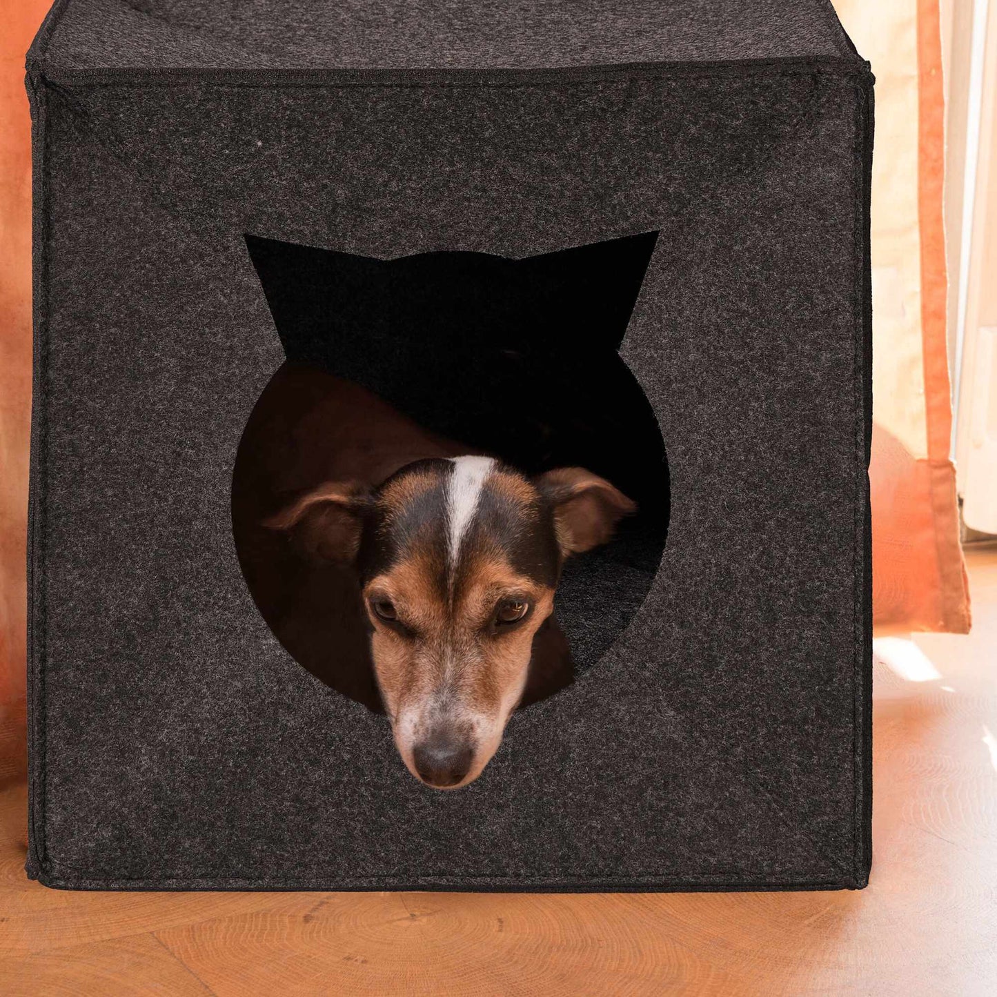 Blanket for cat cave