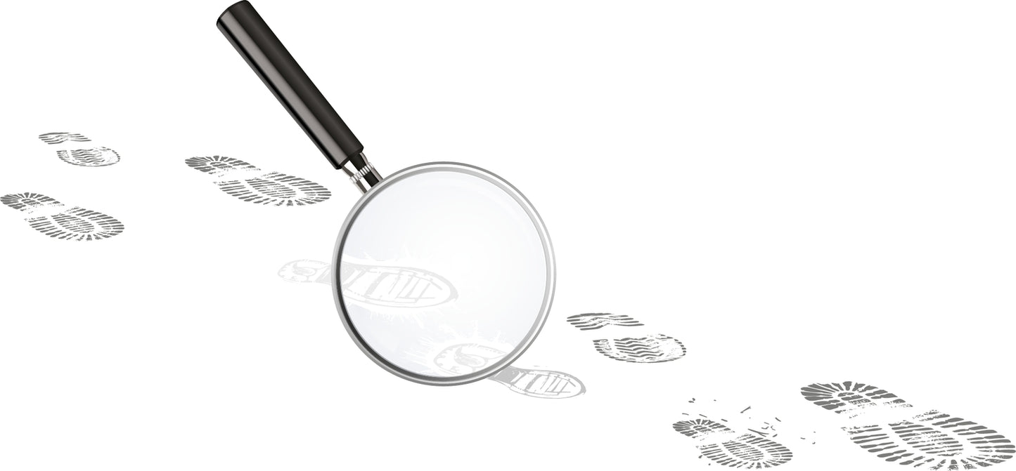 Bo. Educational Set "Detective Lab"