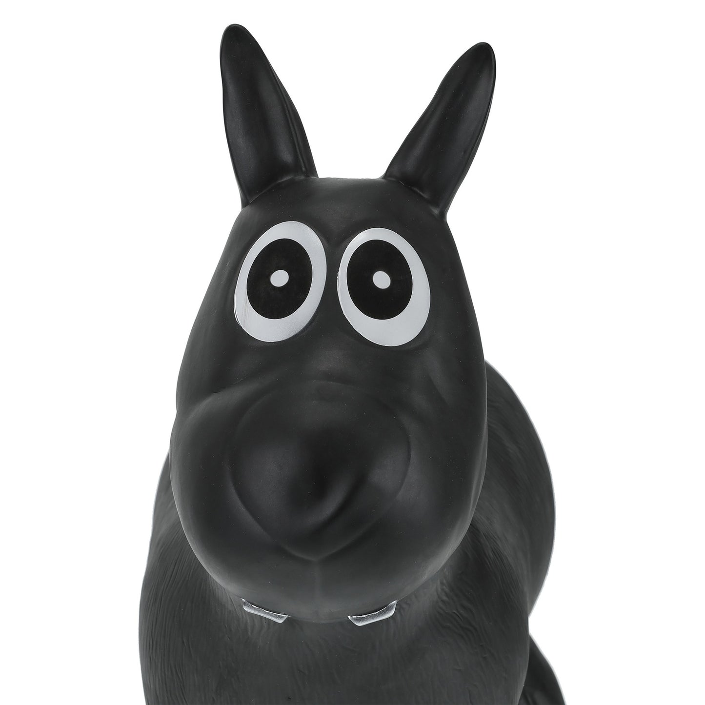 Bouncing animal dog black