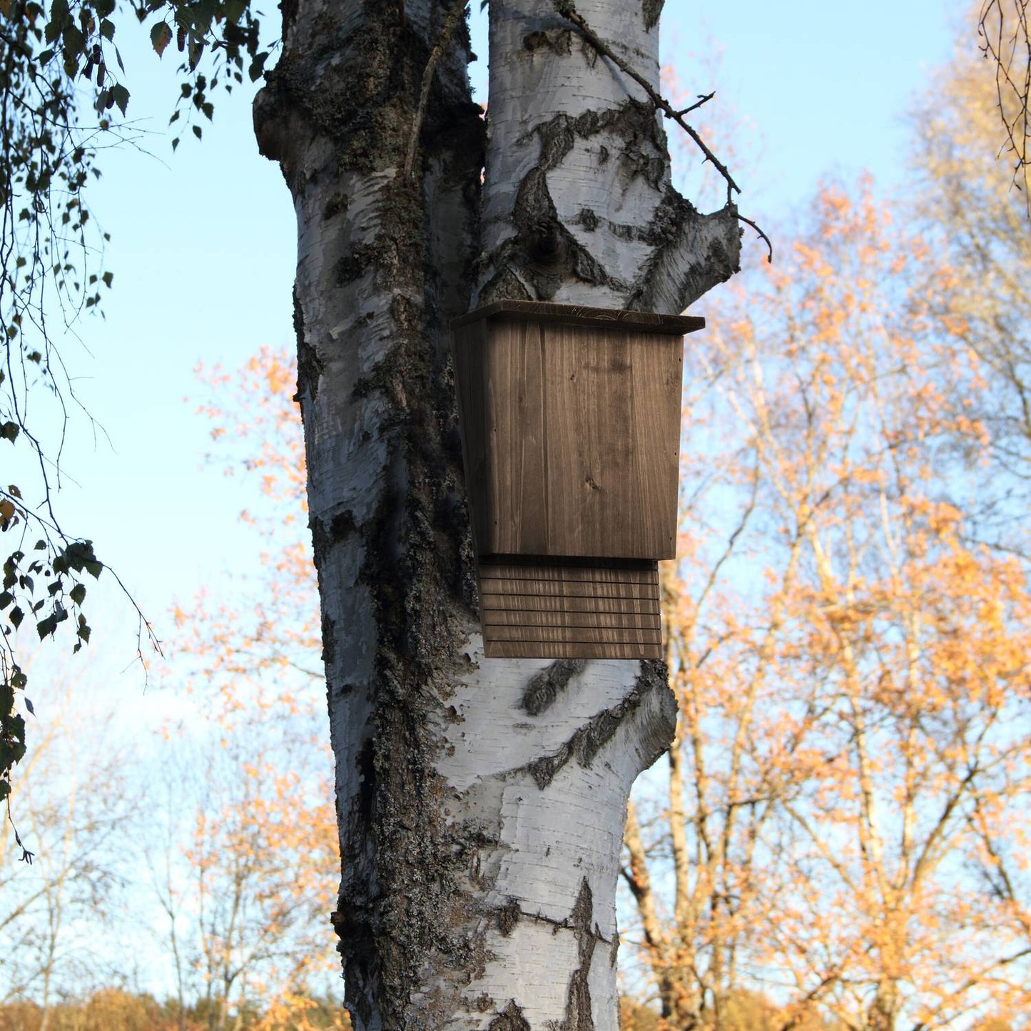 Brown Pine Wood Bat Box