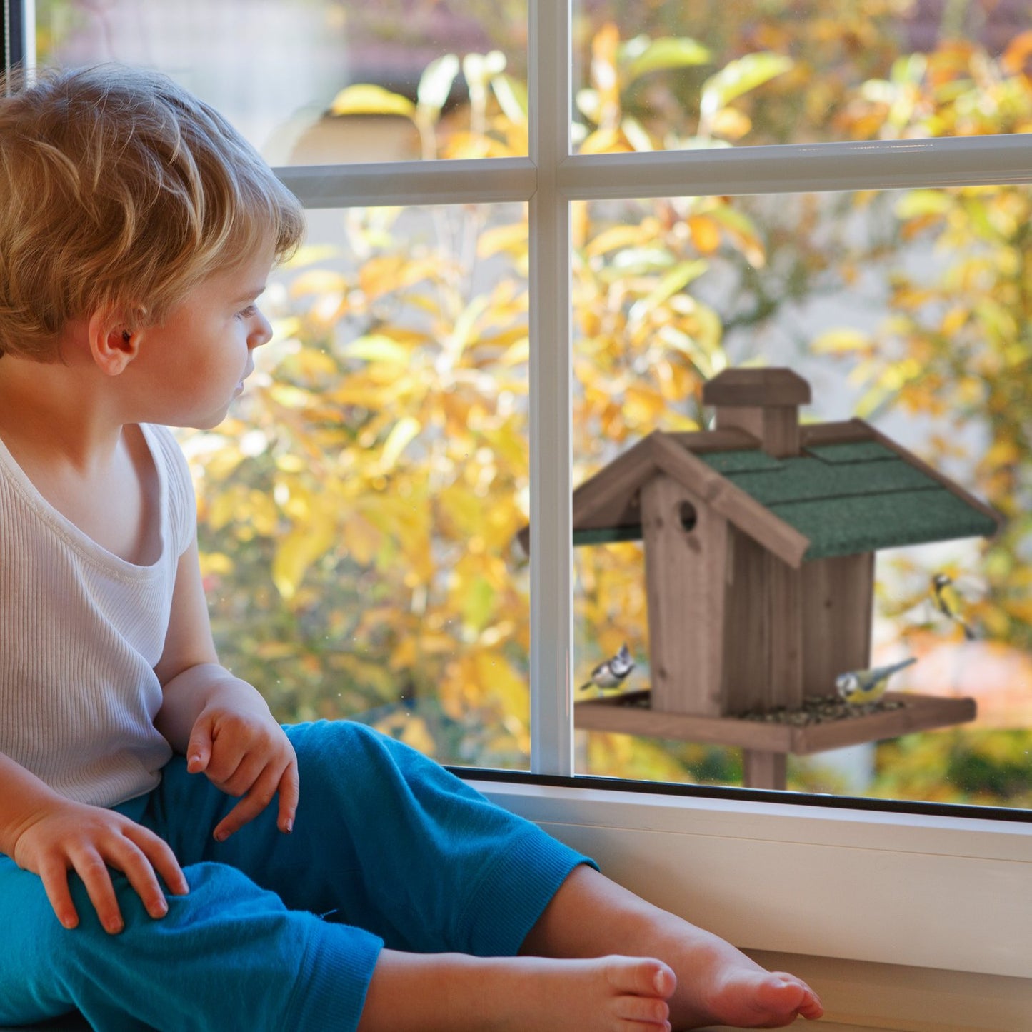 Brown bird table on pole