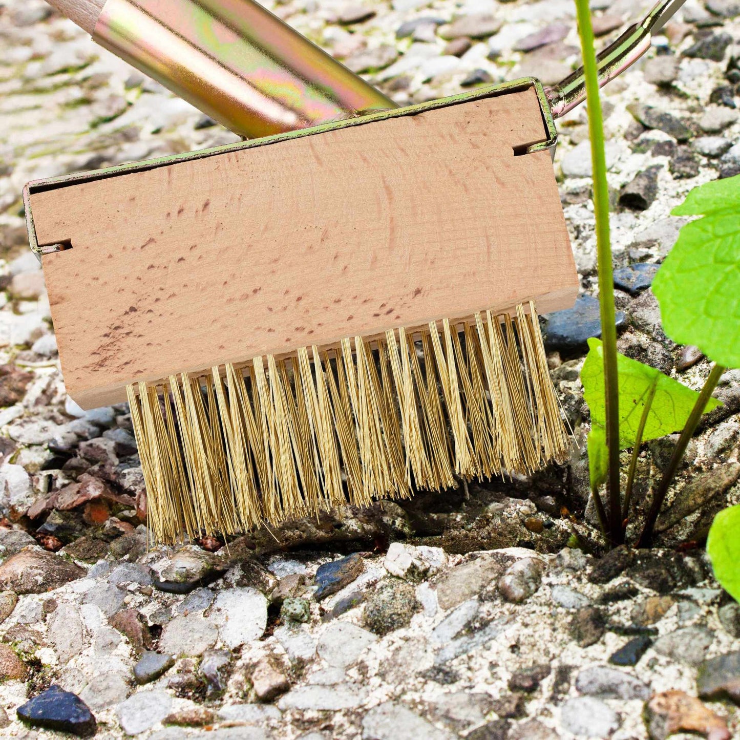 Brush for weeding set of 2