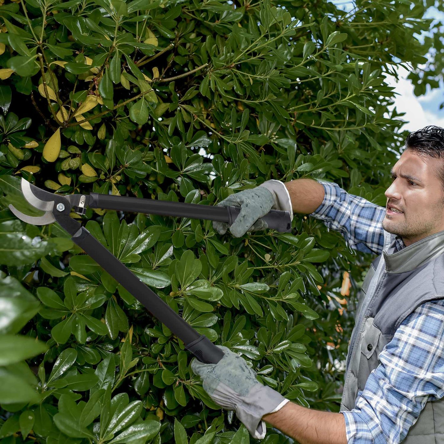 Bypass pruning shears in black