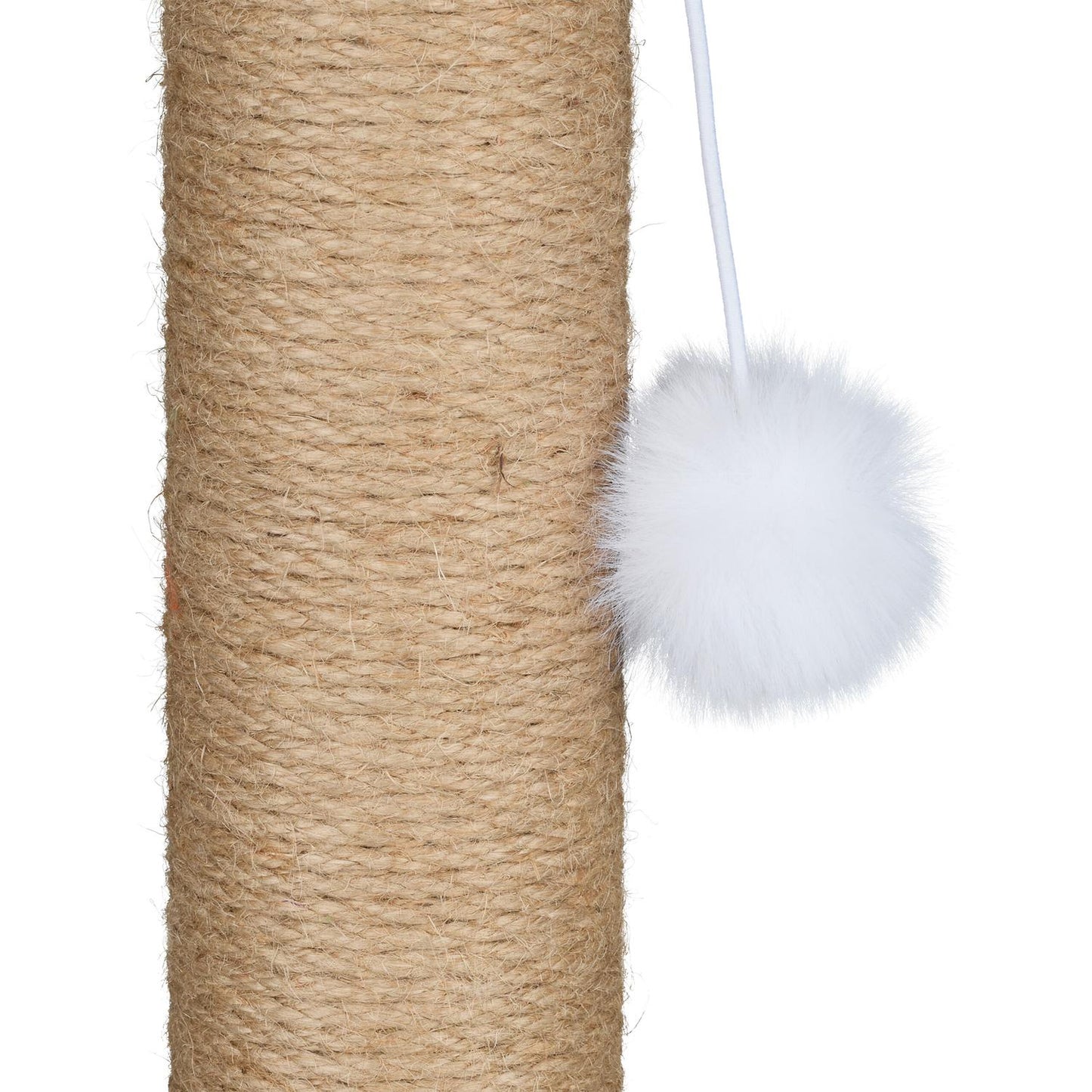 Cactus scratching post