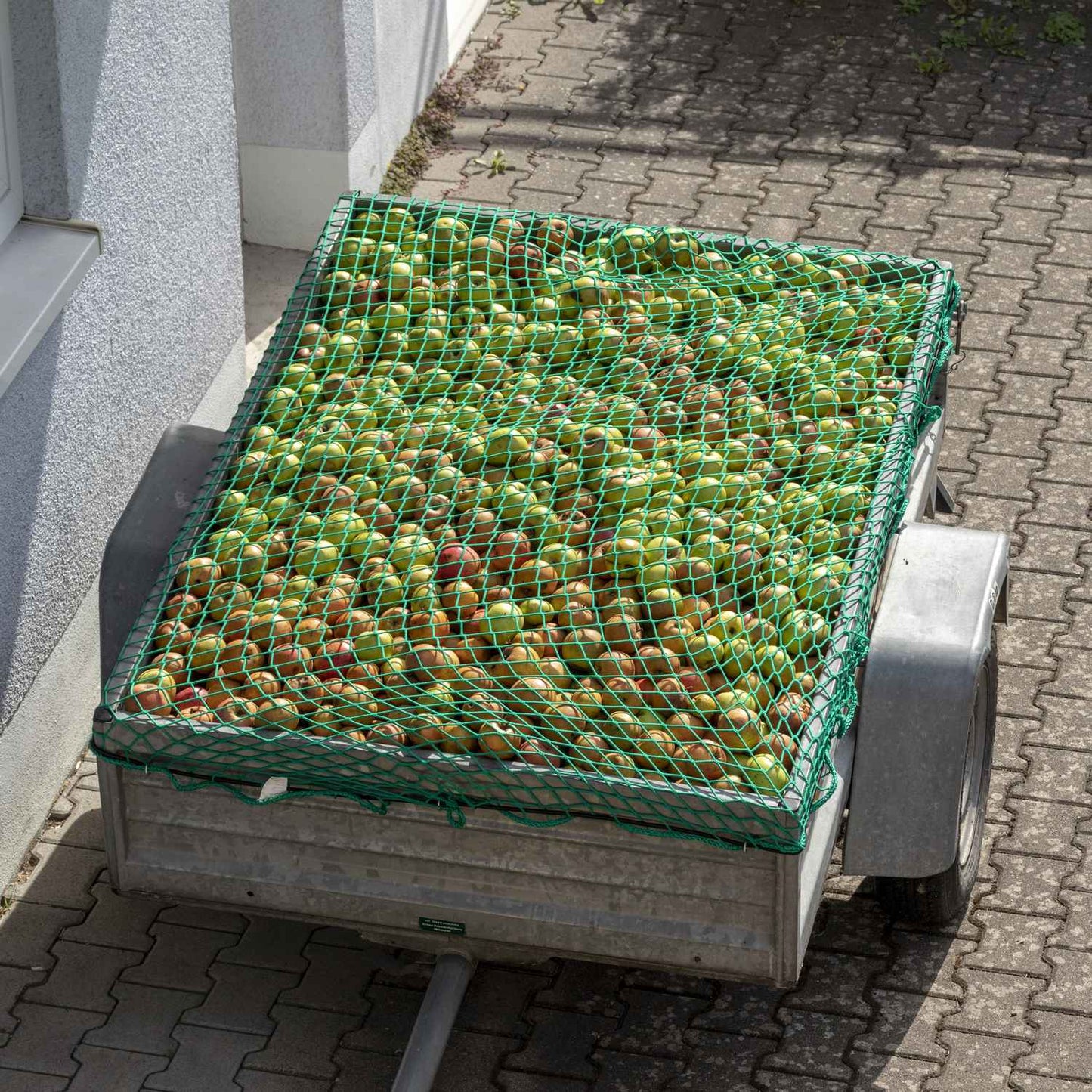 Cargo net 2 x 3 m