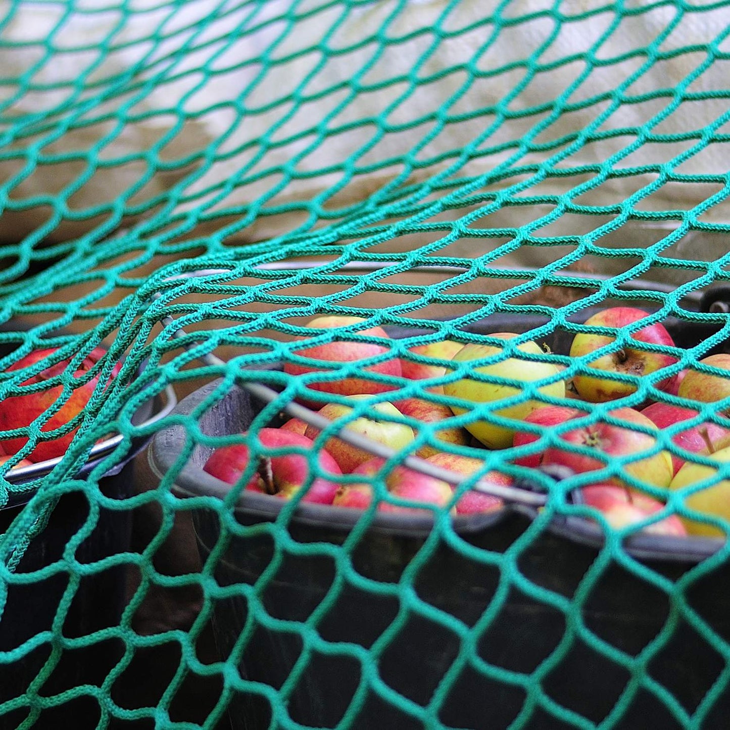 Cargo net 2 x 3 m