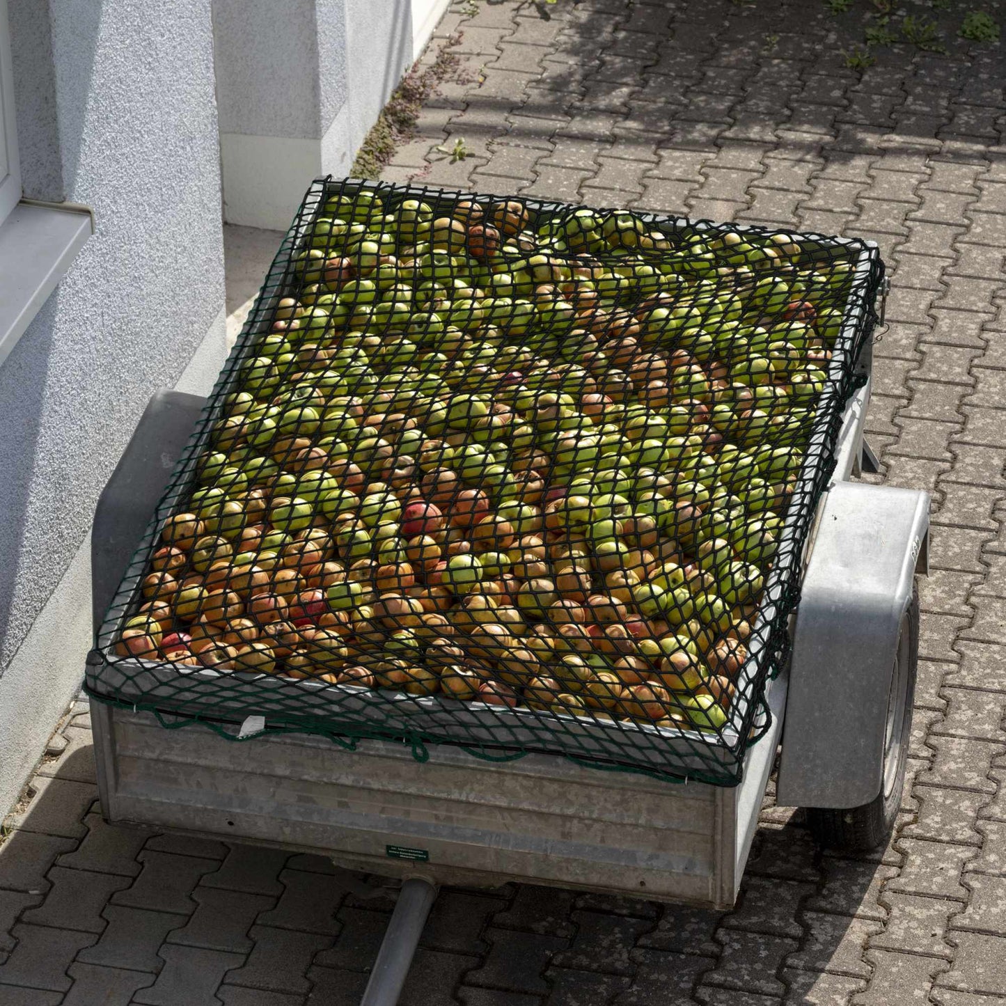 Cargo net 2 x 3 m