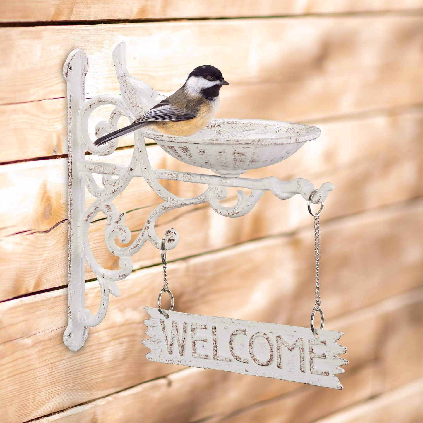 Cast iron bird bath