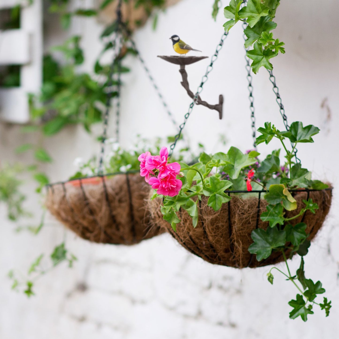Cast iron bird bath