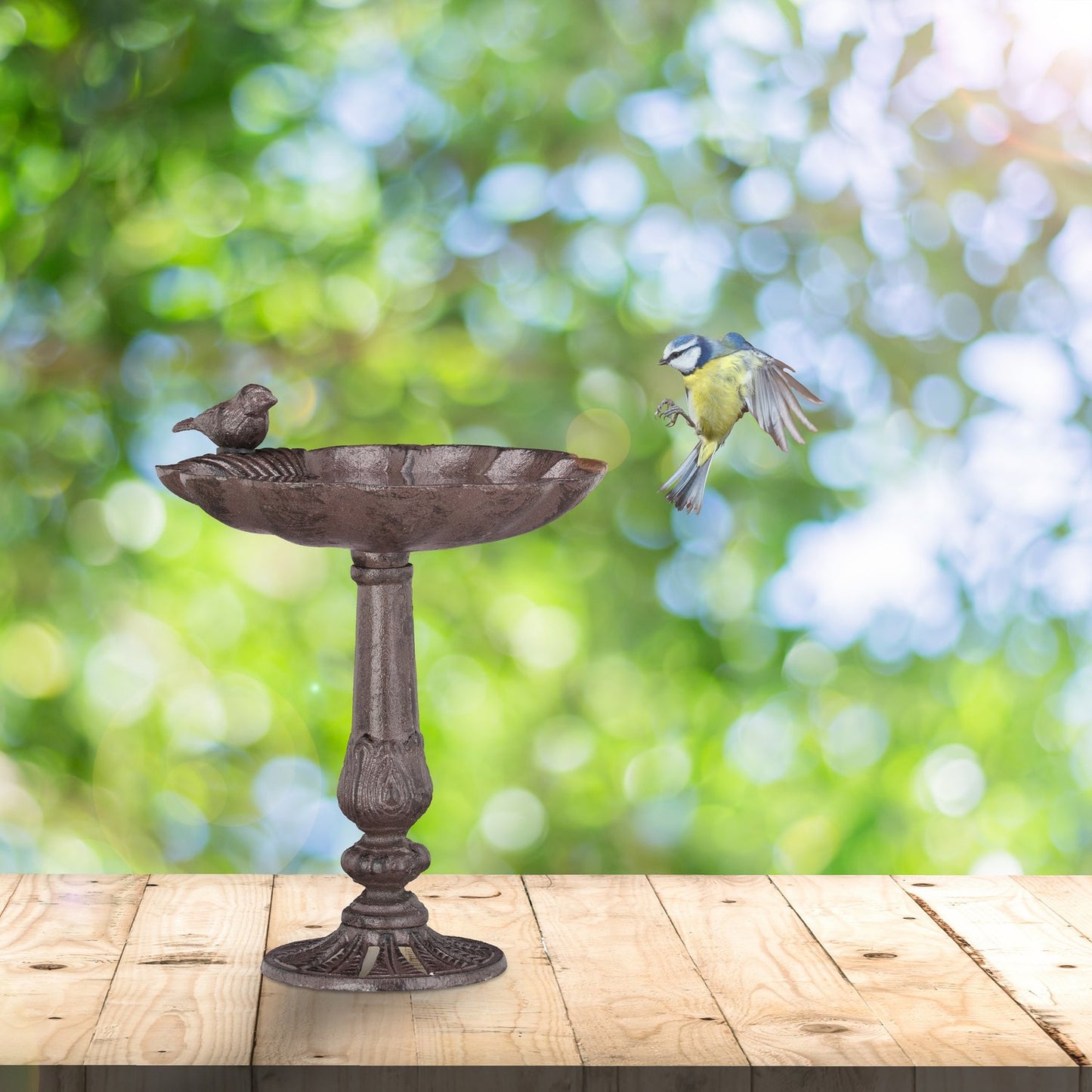 Cast iron bird bath
