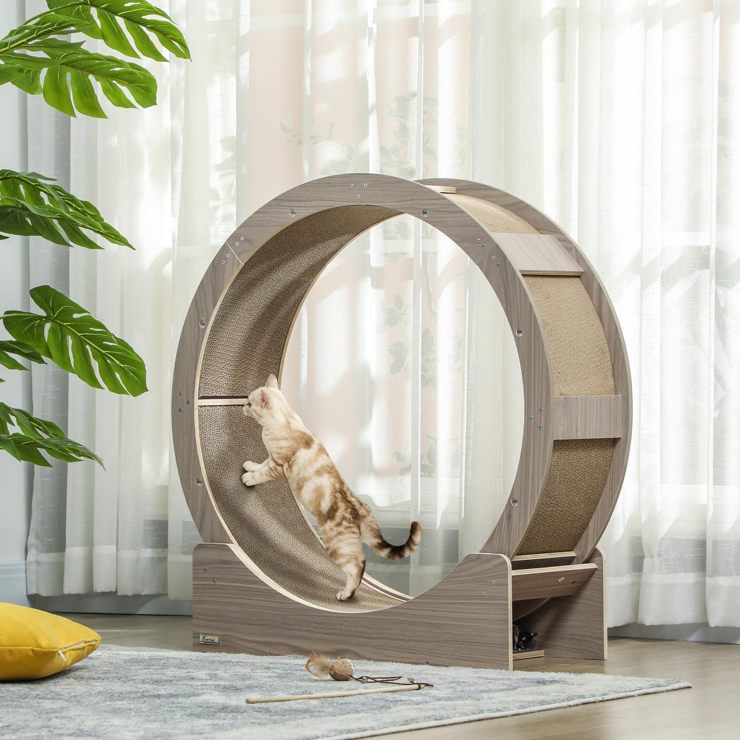 Cat training wheel with brake and scratching board