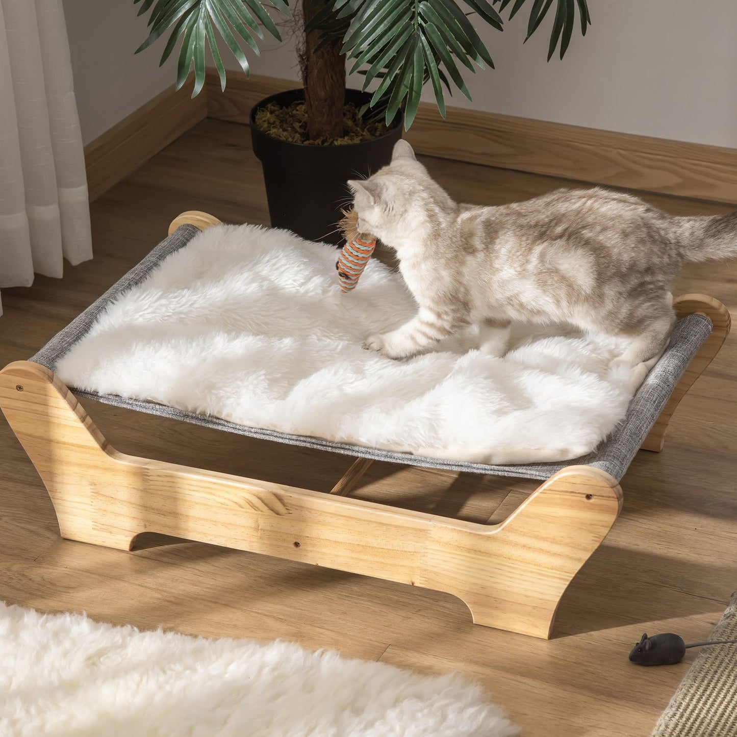 Elevated cat bed Hammock with soft cushion, pine