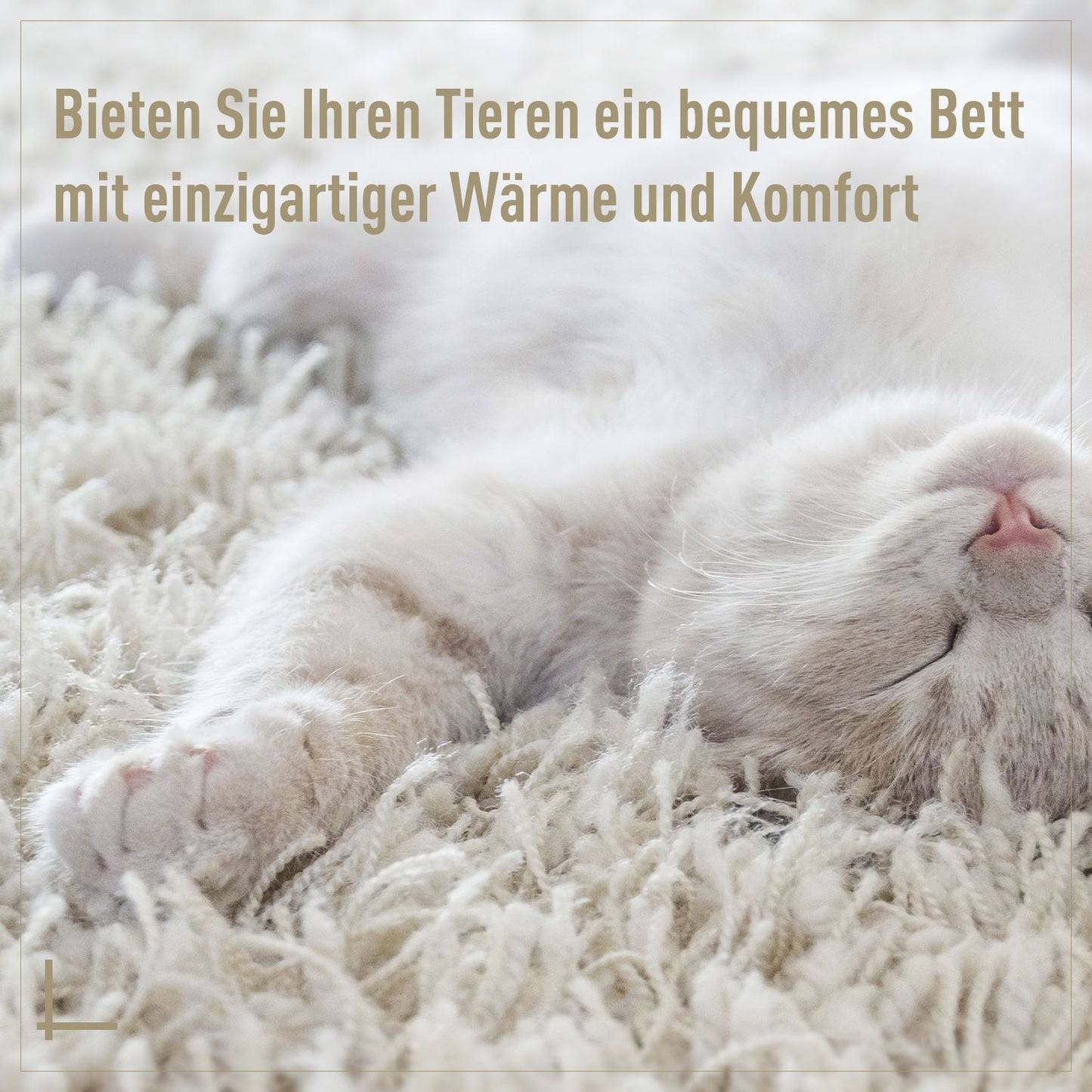 Rattan Cat Cave Bed - Cozy beige with pillow, 56x35Cm