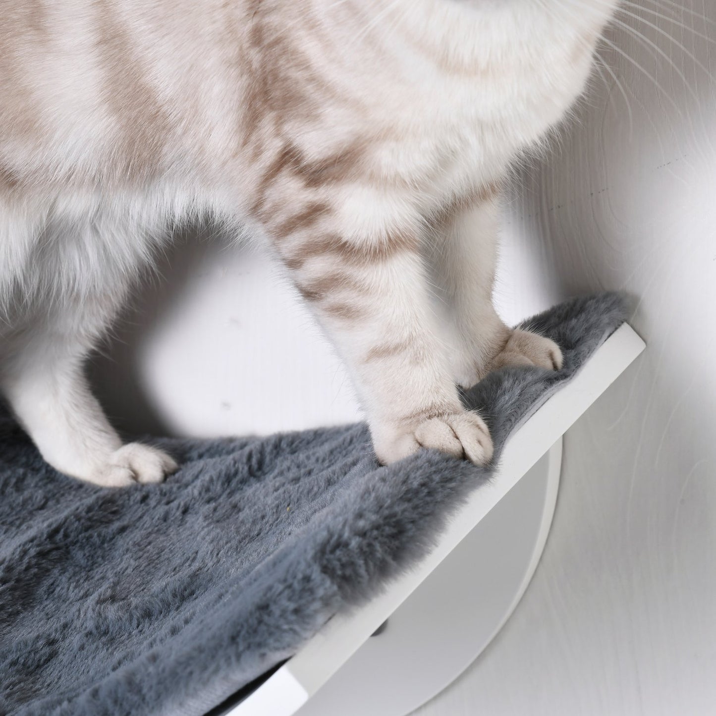 Wall mounted cat bed - stylish with plush cushion, easy installation