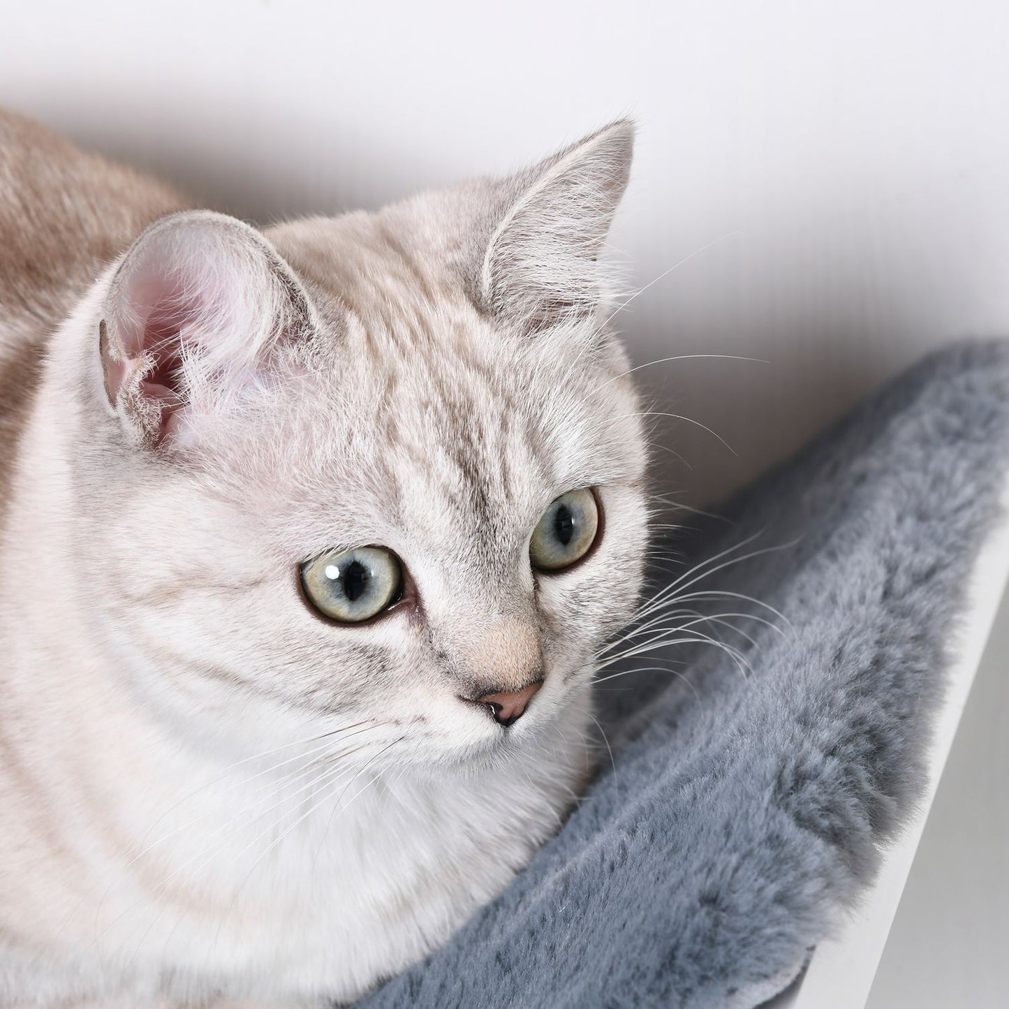 Wall mounted cat bed - stylish with plush cushion, easy installation