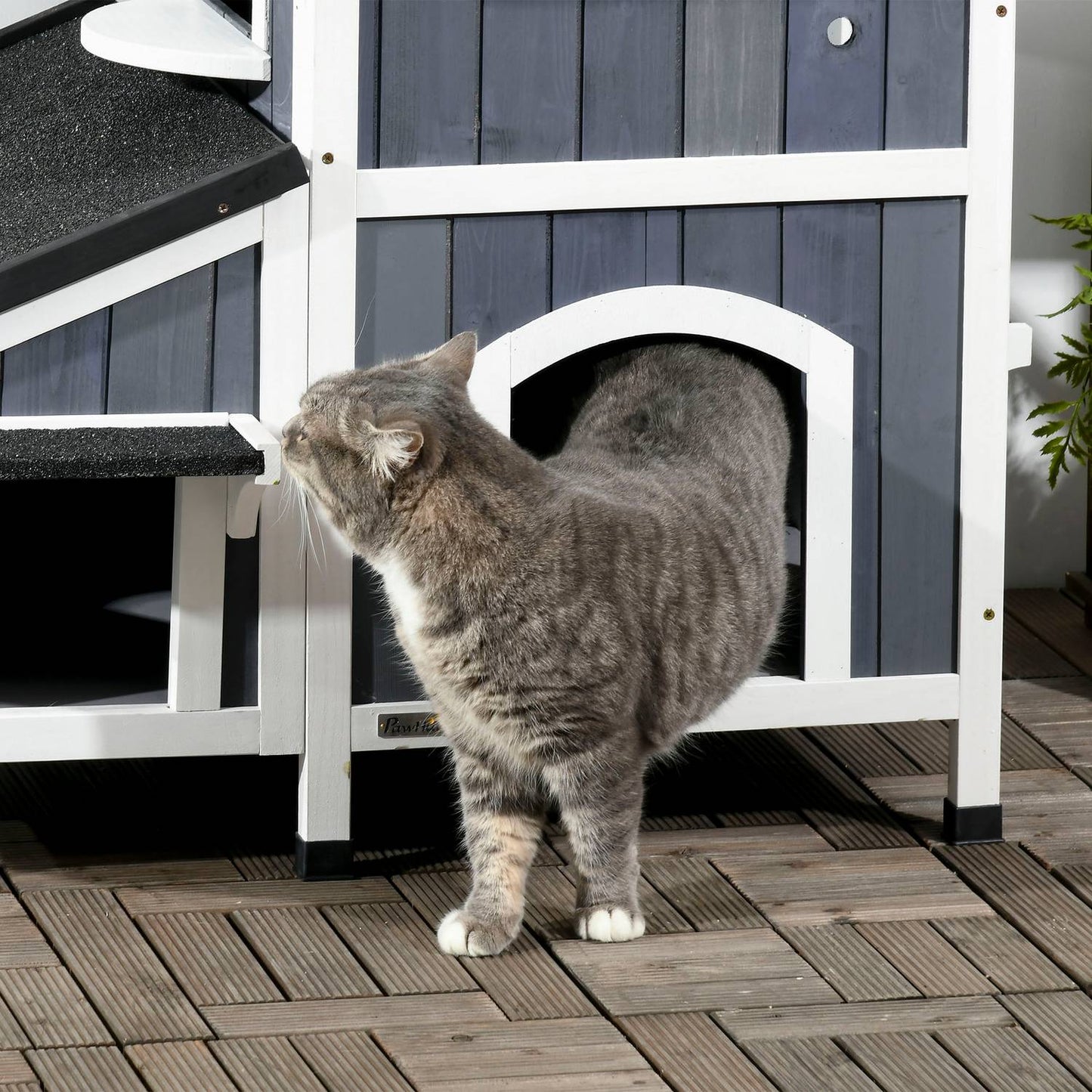 Outdoor cat house, spruce wood, 2 stories, asphalt roof