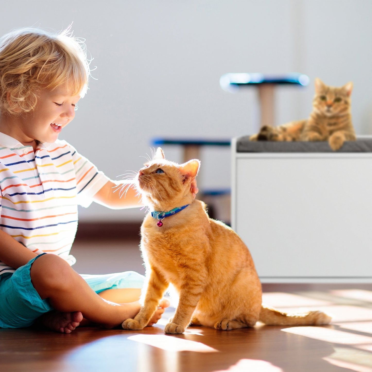 Cat Litter Box Cabinet With Bench
