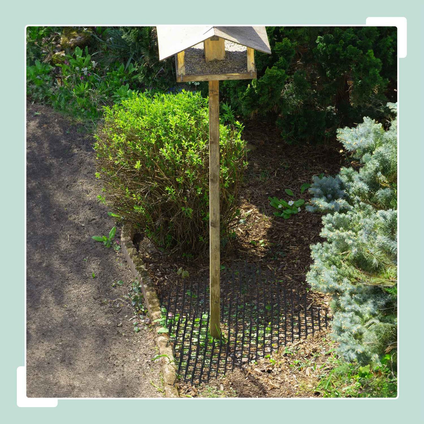 Cat Repellent Spike Mats, Set of 20 for Garden Use