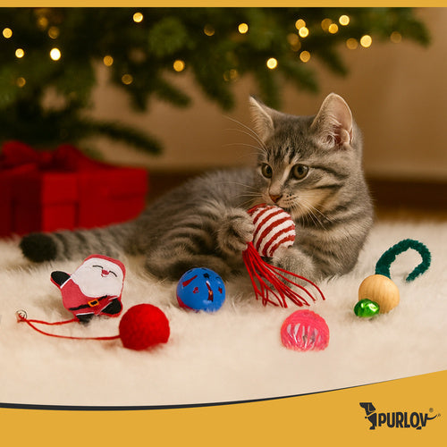 Cat Toy Set, 6 Pcs, Balls, Springs, Pompoms