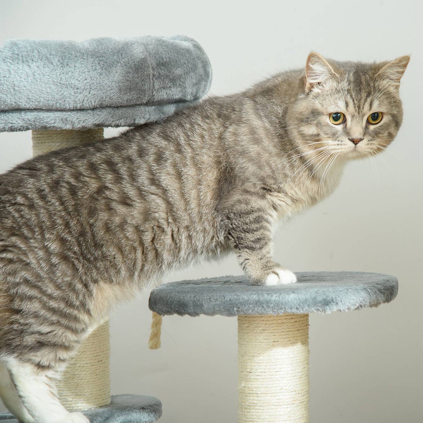 Gray 3-story cat tree with hammock and sisal columns