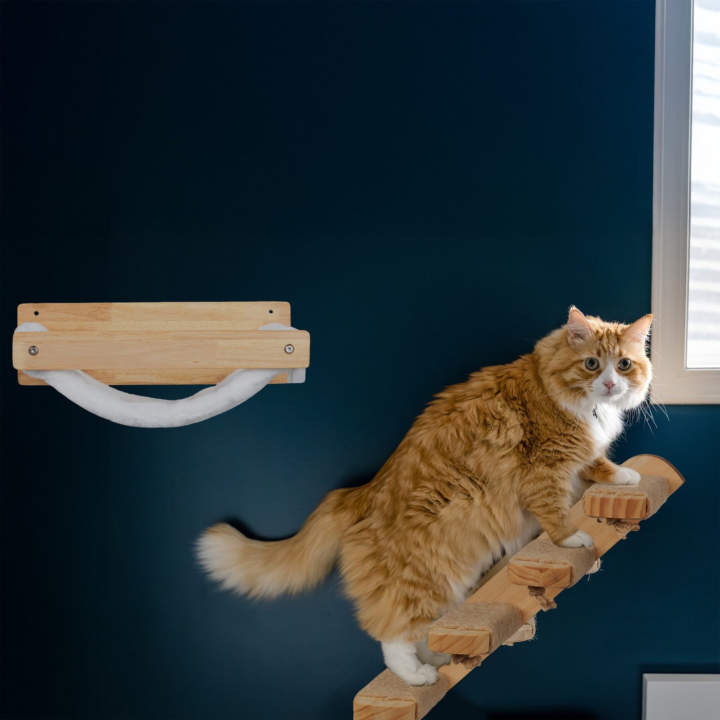 Cat Wall Stairs – 4 Steps for Climbing & Scratching