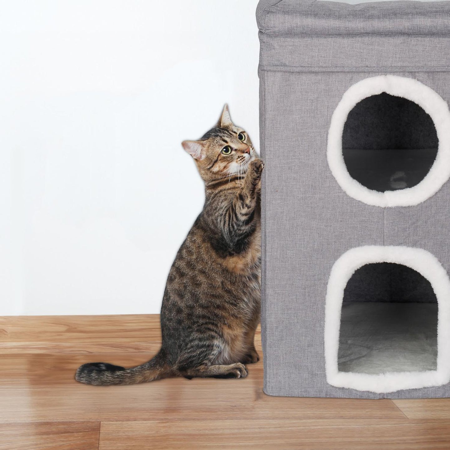 Cat cave 3 levels