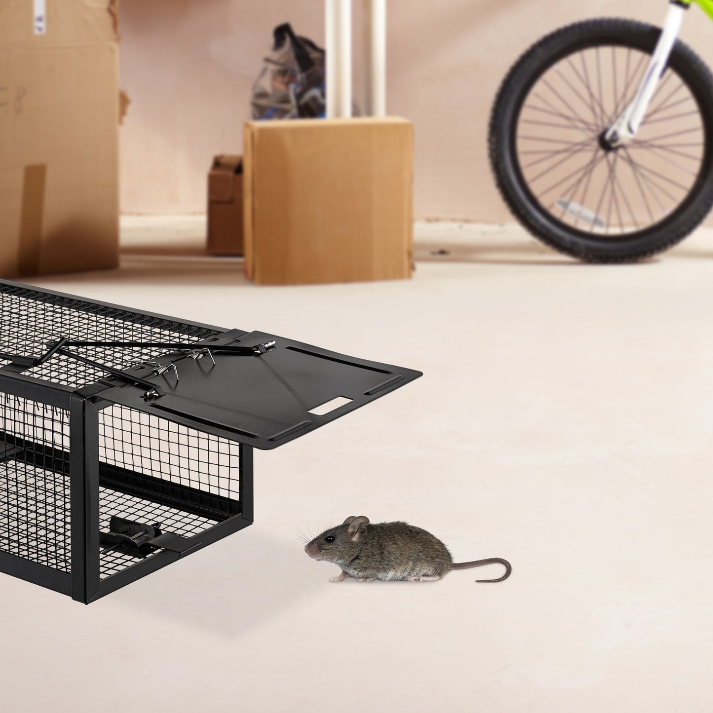 Catch & Release Mouse Trap