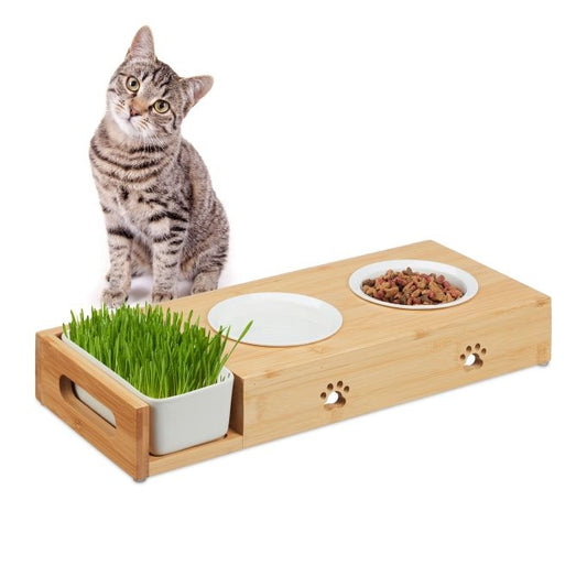 Cat feeding station and cat grass bowl