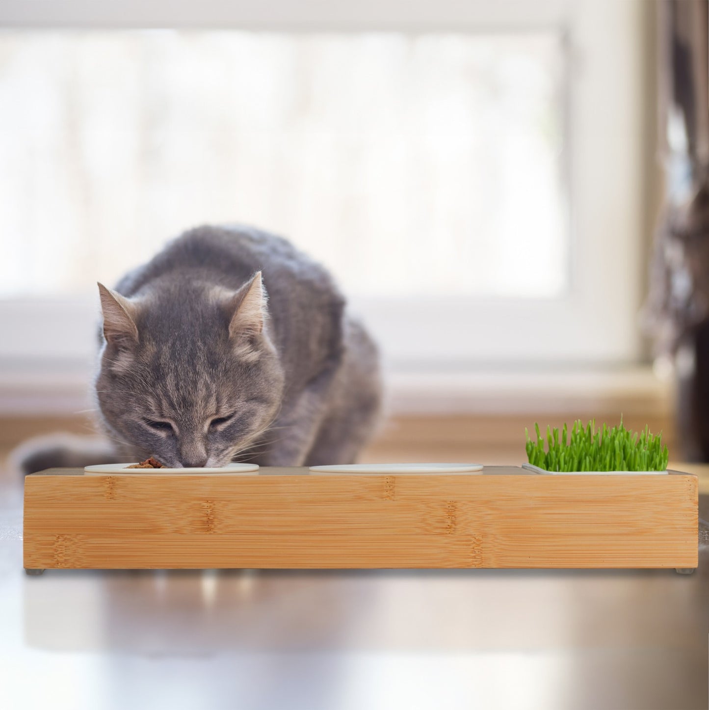 Cat feeding station and cat grass bowl