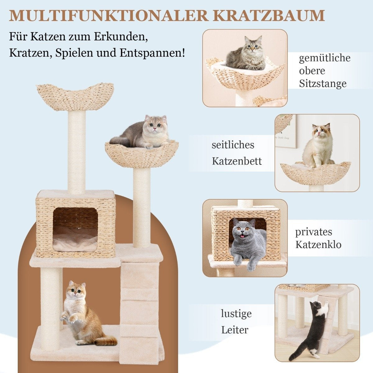 Cattail cat tree cat tree with sisal posts & seat & cat house & ladder cat tower