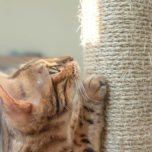 Cat tree 71cm gray Purlov 21712