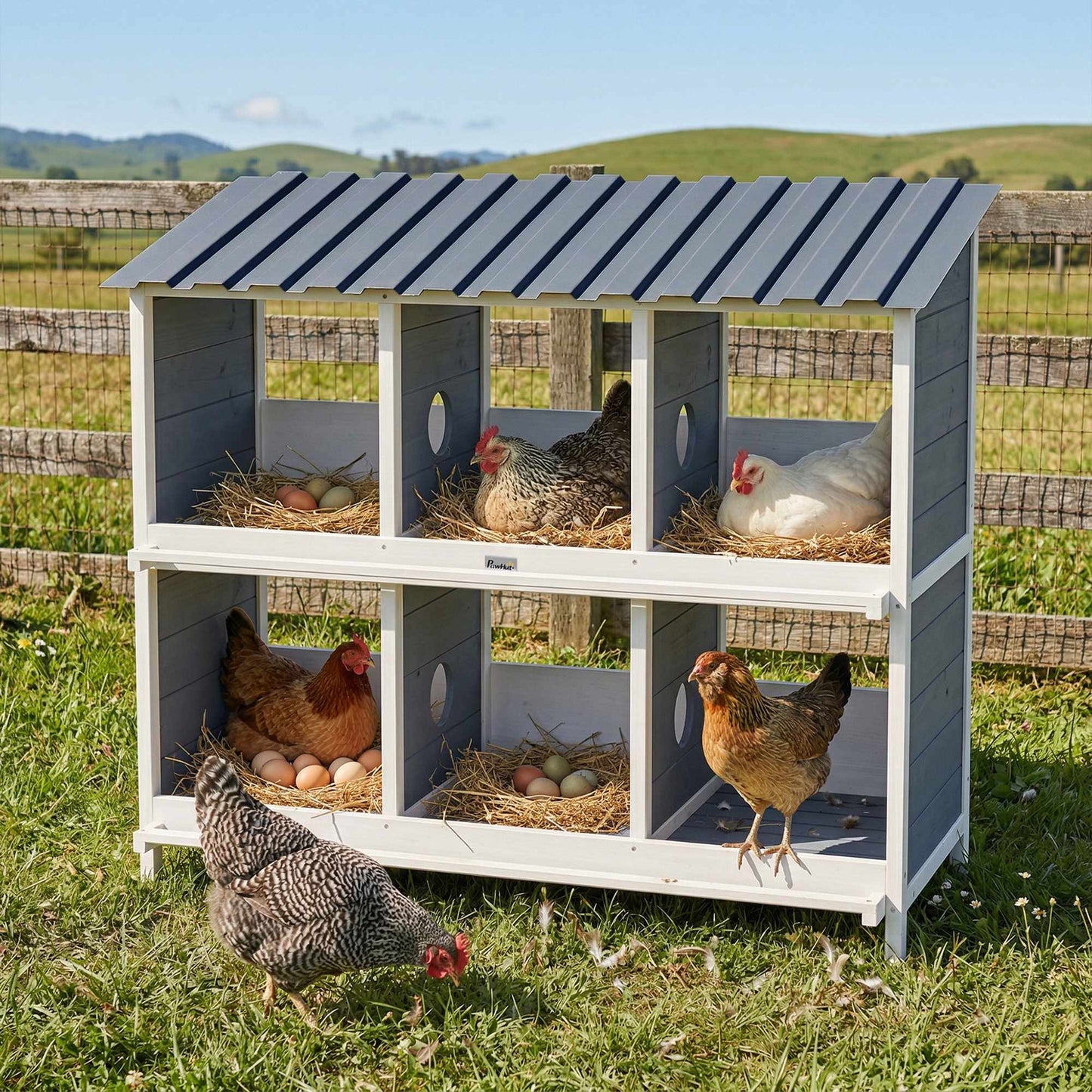 Chicken Nesting Box, 6 Compartments, Wooden, 2 Perches