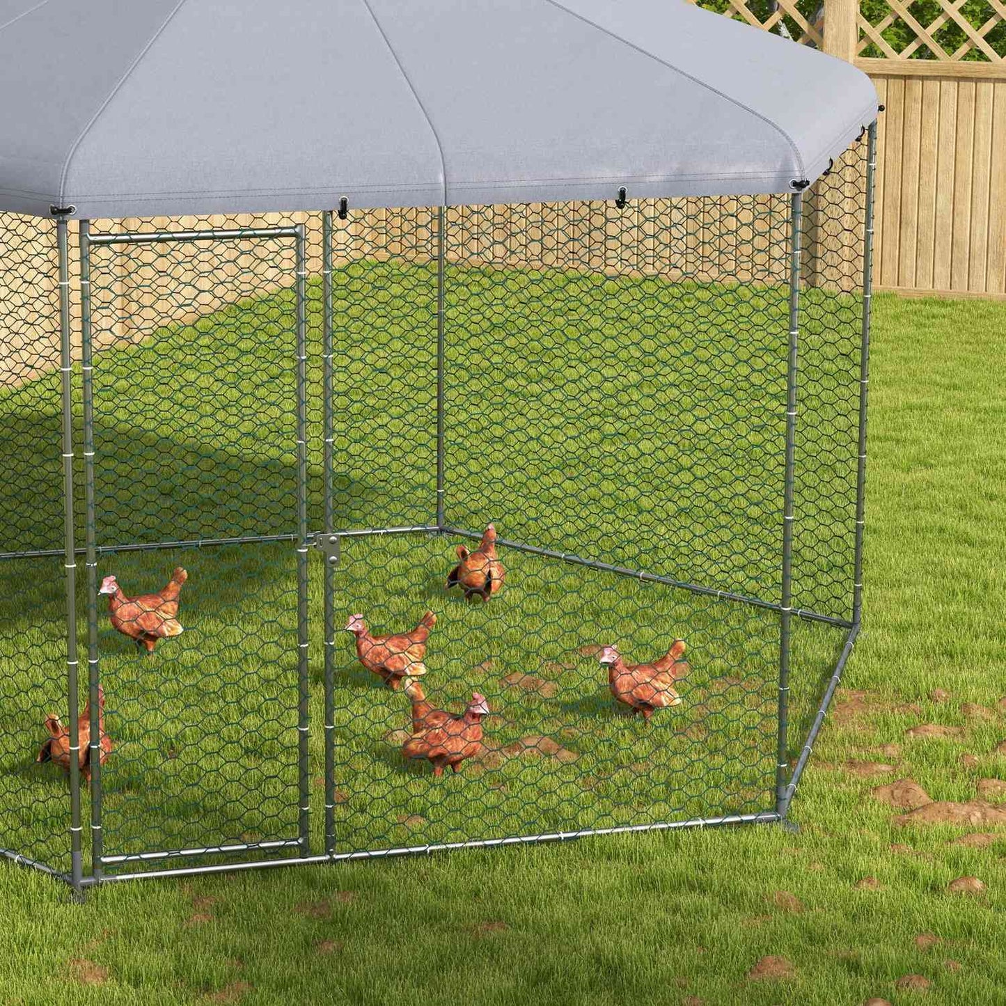 Steel chicken house with lid, door, for 10-15 chickens