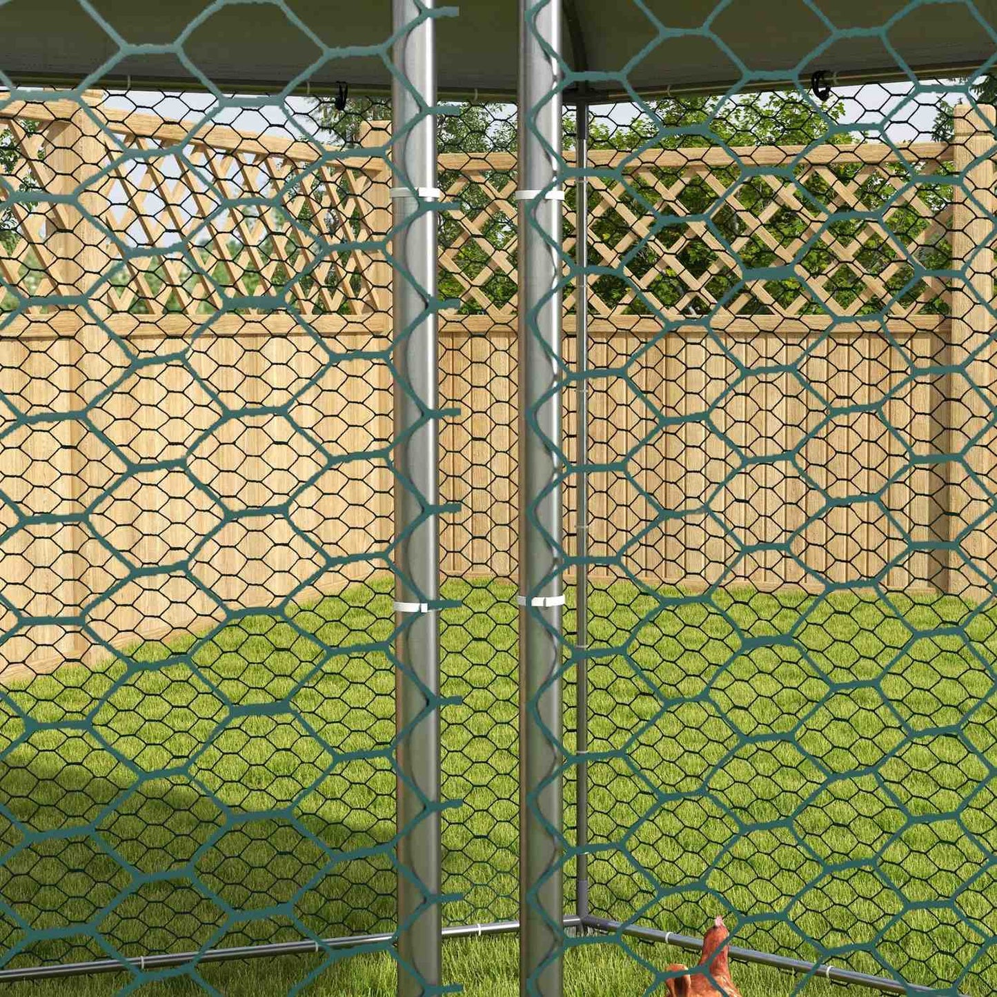 Steel chicken house with lid, door, for 10-15 chickens