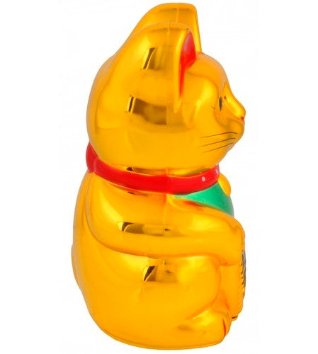 Chinese cat - golden