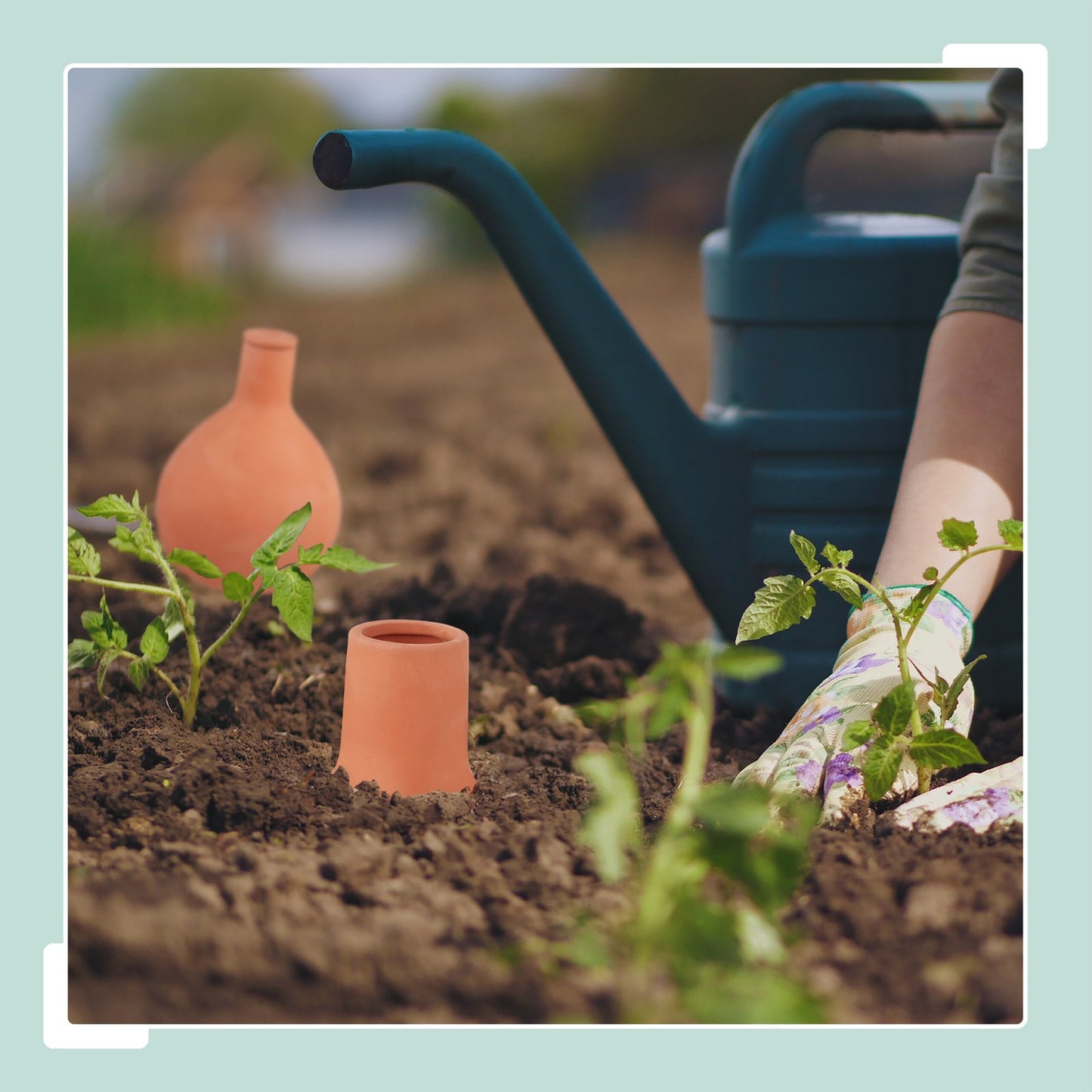 Clay Olla Irrigation Pot, 7.5L Water Saver