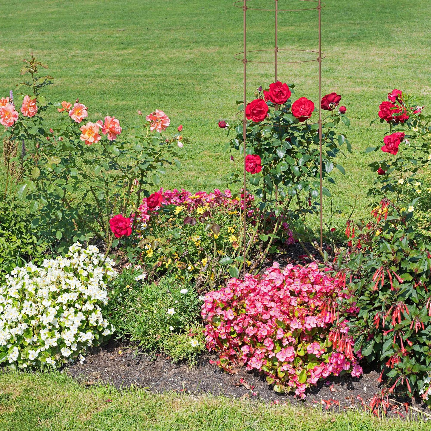 Climbing Plant Support, 150 cm, Set of 2, Brown