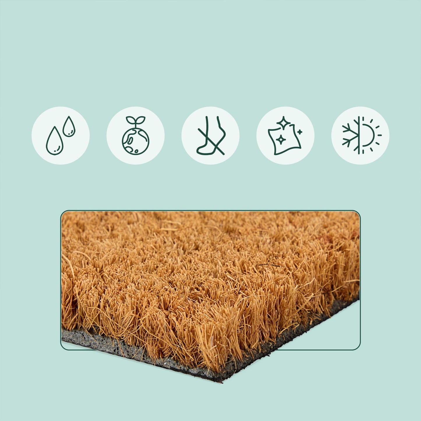 Coconut Coir Animal Doormat, 60x40 cm, Dirt-Trapping
