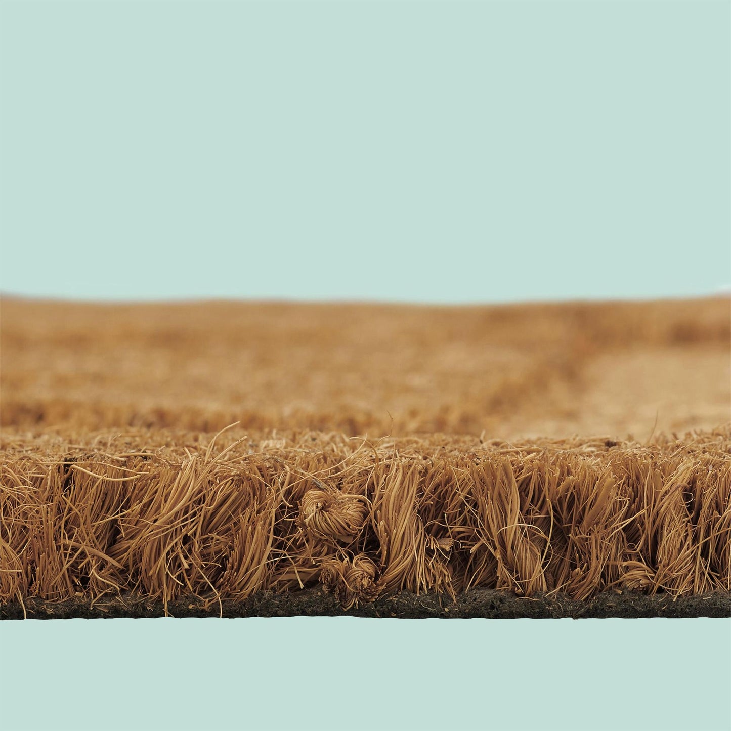 Coconut Fiber Animal Doormat, 80x50 cm, Indoor/Outdoor