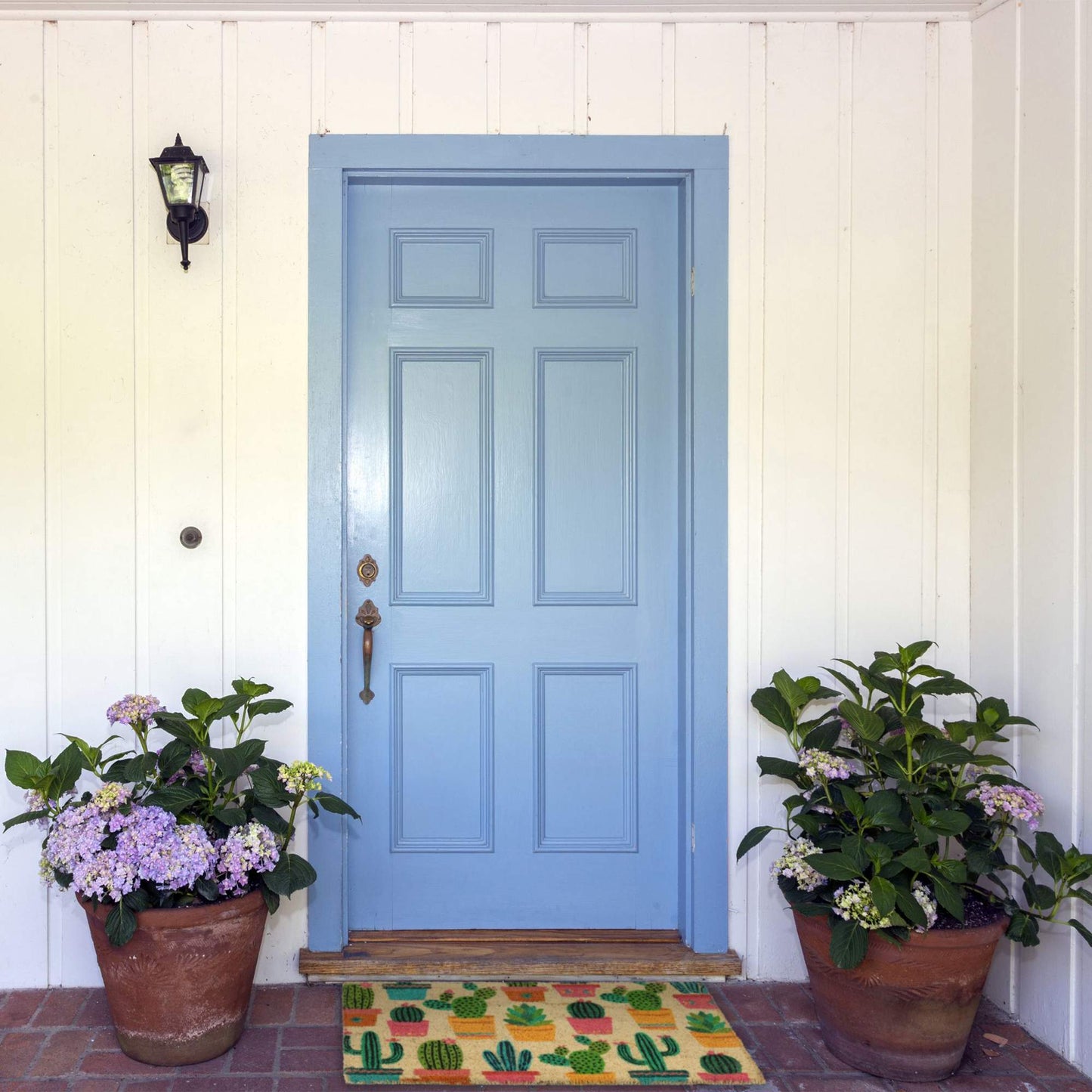 Coconut door mat cactus