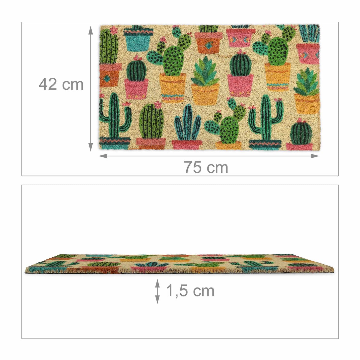Coconut door mat cactus