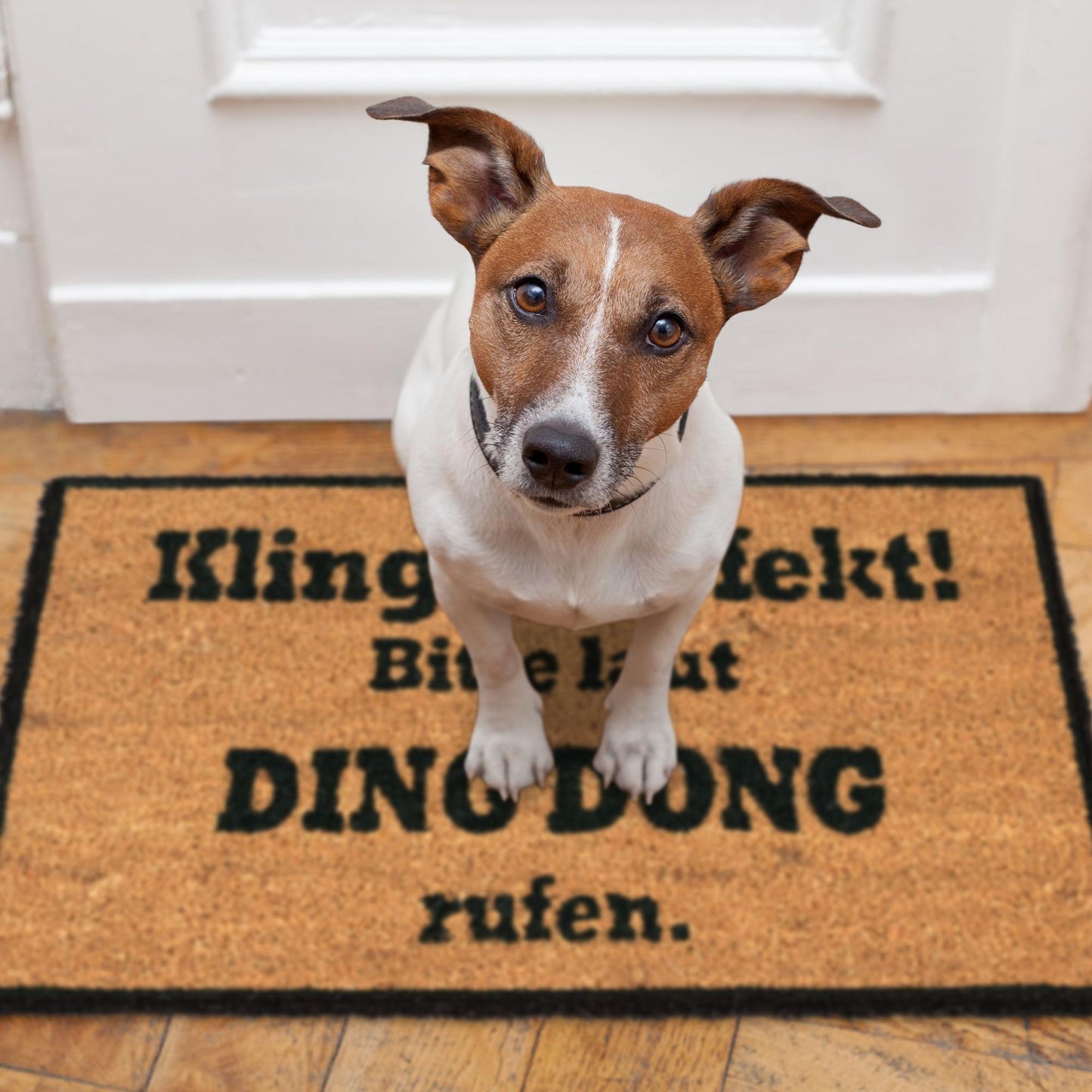 Coconut rug DING DONG