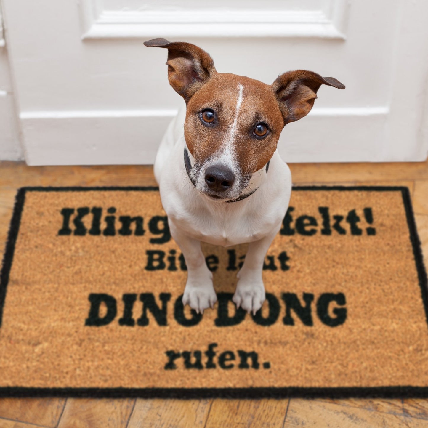 Coconut rug DING DONG