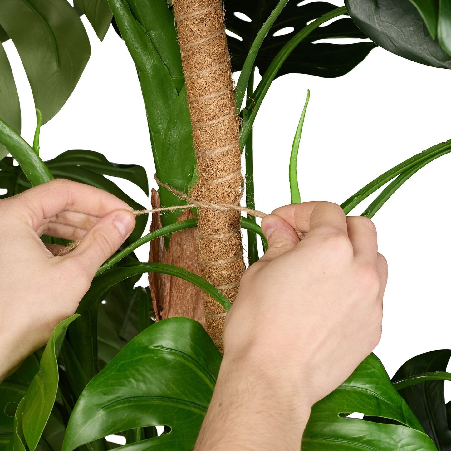 Coconut sticks 60 cm